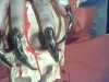 Pic-20090424-004.jpg