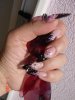 DSC05334.jpg