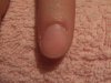 DSCF3550.jpg