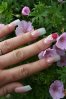 ongle2.jpg