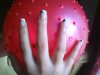 DSC00422.jpg