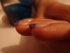 DSC05317.jpg