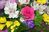 Fleurs anniversaire 002.jpg