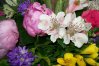 Fleurs anniversaire 004.jpg