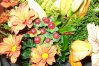 Fleurs anniversaire 008.jpg