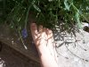 100_2595.jpg
