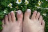 mes pieds mai.jpg