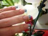 ongles 006.JPG
