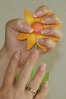 DSC01034.jpg