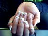 Snapshot_20090528.jpg