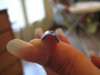 pose french blue 010.jpg
