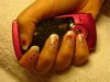 DSC08813_petite.jpg