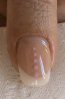 deco_blanche_29_05_01.jpg