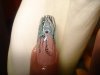 DSC03374.jpg