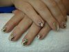DSC03351.jpg