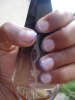 DSC00146.jpg
