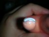 DSCN5027.jpg